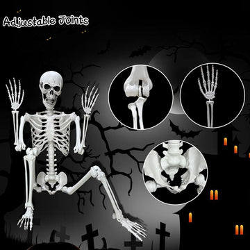 5.4Ft Posable Life Size Human Adult Skeletons Plastic Human Bones with Movable Joints for Halloween Decoration